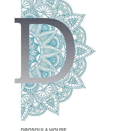 Drosoula House Villa Agios Georgios  Exteriör bild